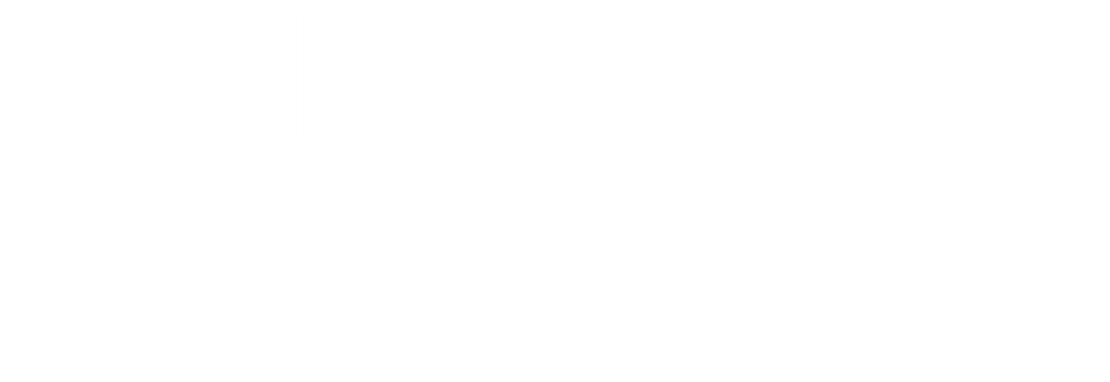 Visit the University of Hull website University of Hull's logo
